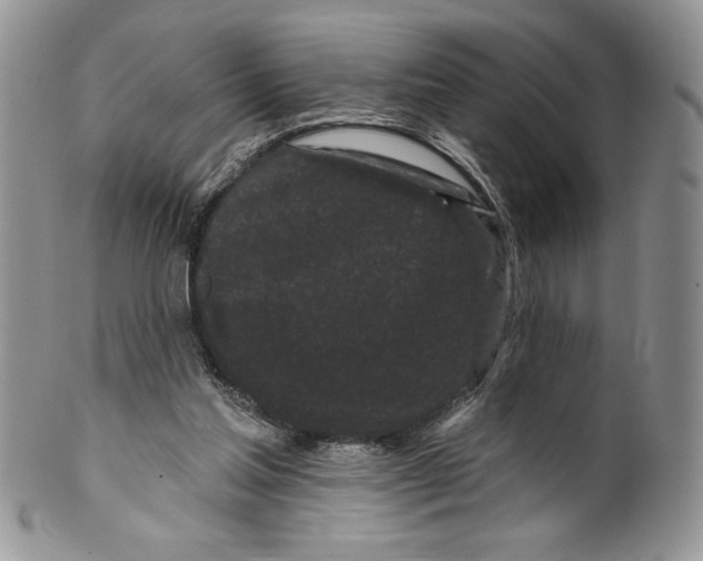 X0000099560205200806131241