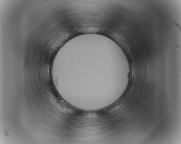 X0000099560206200806131241