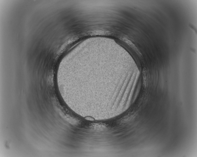 X0000099560207200806131241