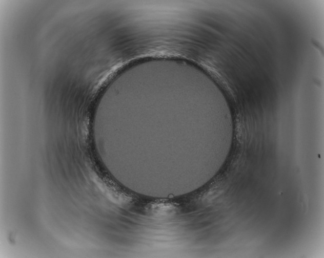 X0000099560208200806131241