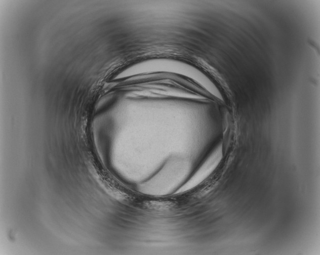 X0000099560209200806131241