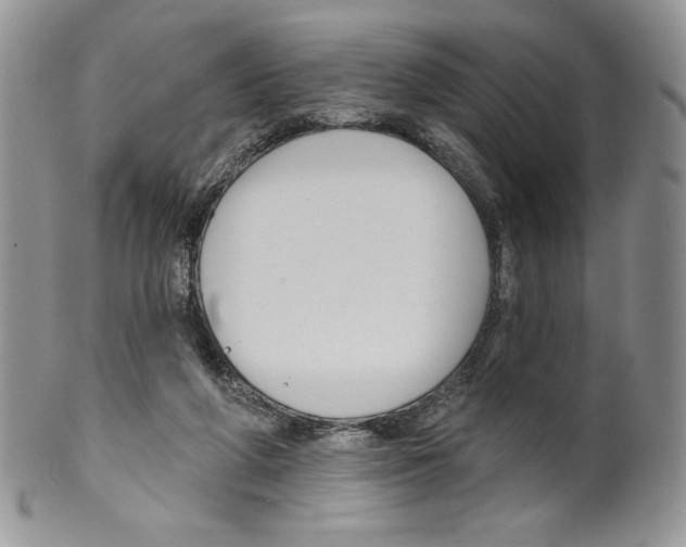 X0000099560210200806131241