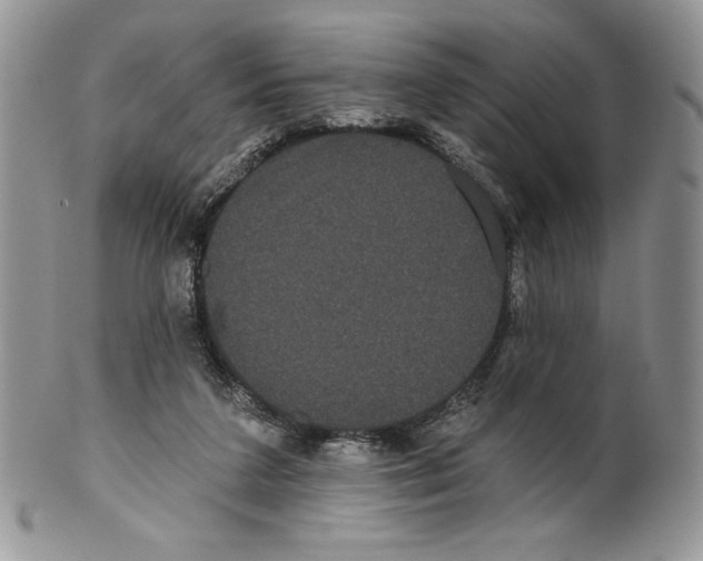 X0000099560211200806131241