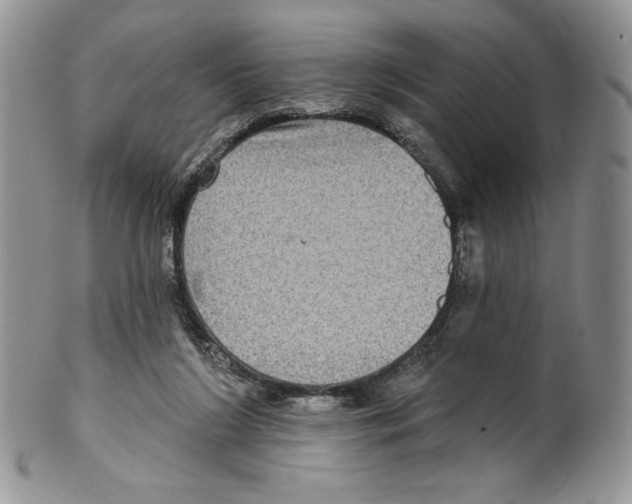 X0000099560212200806131241