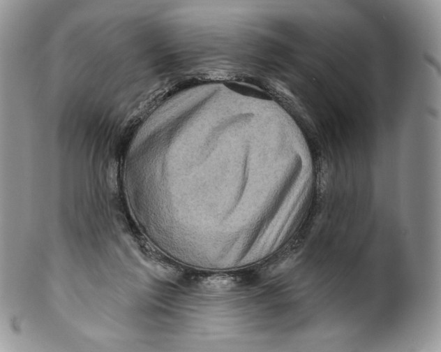 X0000099560213200806131241