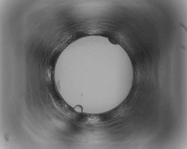X0000099560214200806131241
