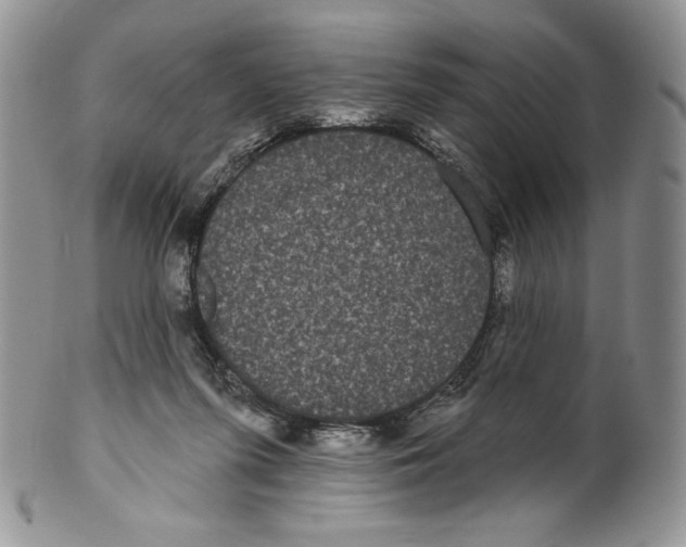 X0000099560215200806131241