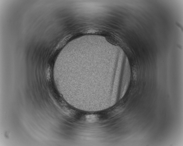 X0000099560216200806131241