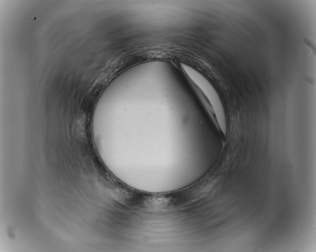 X0000099560217200806131241