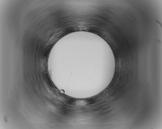 X0000099560218200806131241