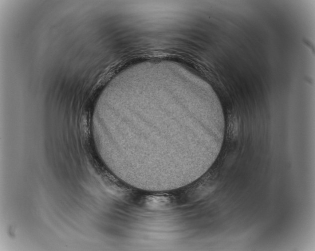 X0000099560220200806131241