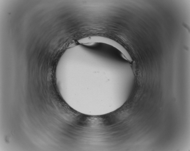 X0000099560221200806131241