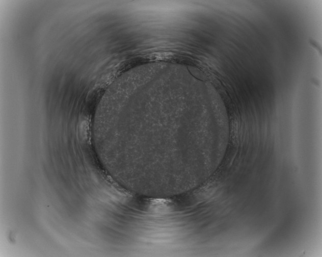 X0000099560222200806131241