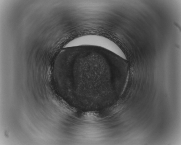 X0000099560223200806131241