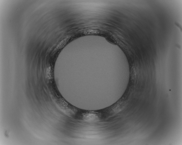 X0000099560224200806131241