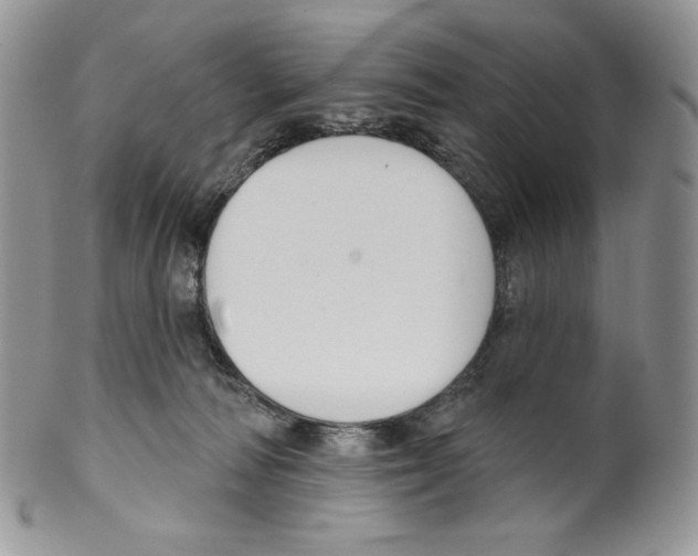 X0000099560226200806131241