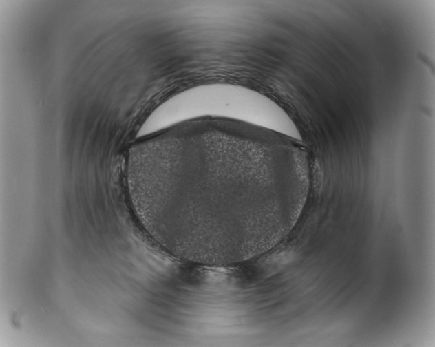 X0000099560229200806131241