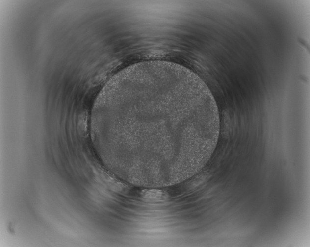 X0000099560230200806131241