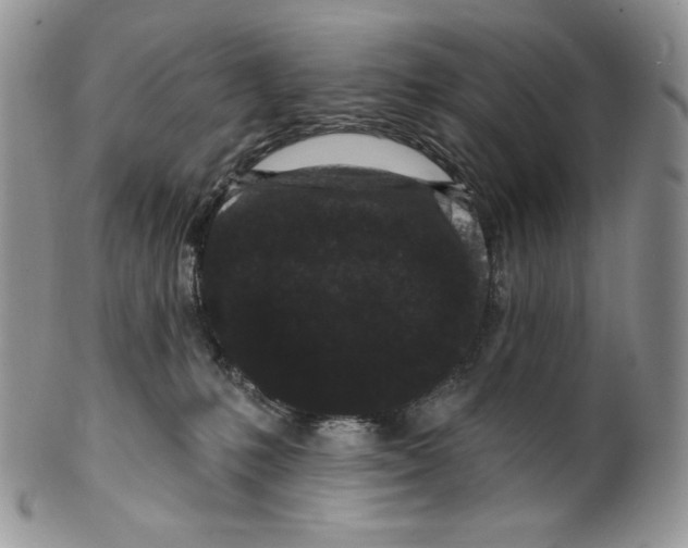 X0000099560231200806131241