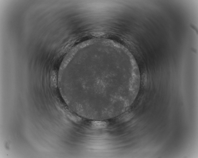 X0000099560234200806131241