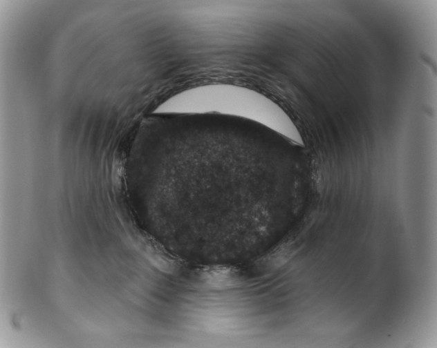 X0000099560235200806131241
