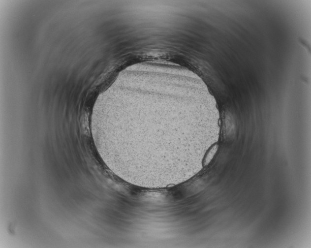 X0000099560236200806131241