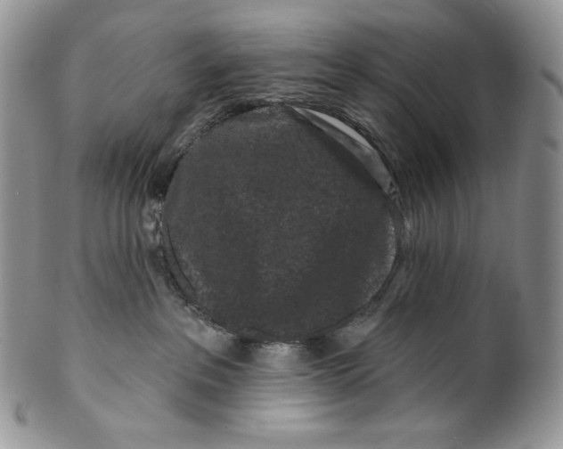 X0000099560237200806131241