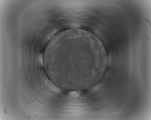 X0000099560238200806131241
