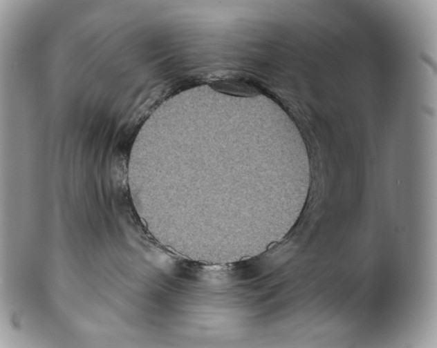 X0000099560240200806131241