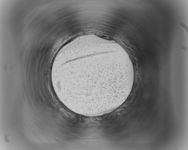 X0000099560241200806131240