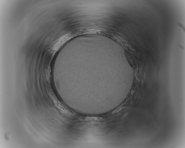 X0000099560242200806131240