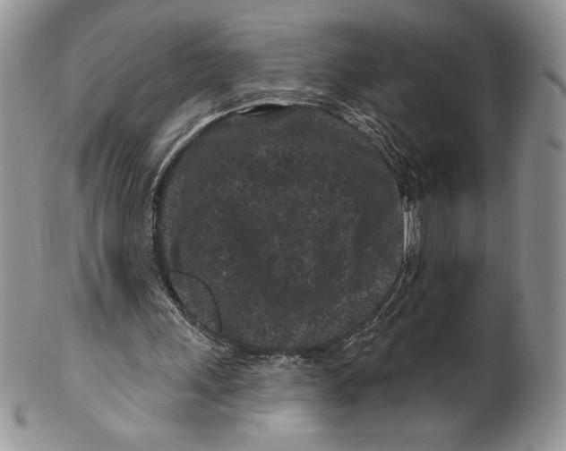 X0000099560243200806131240