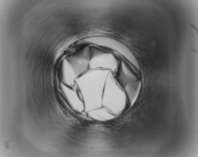 X0000099560244200806131240