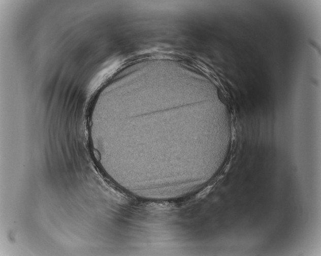 X0000099560245200806131240