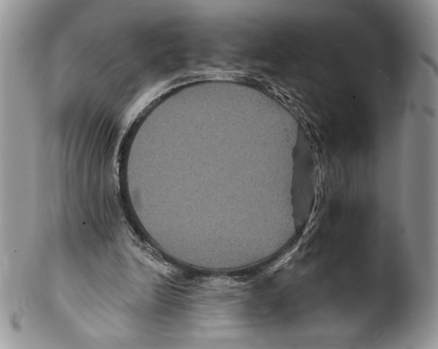 X0000099560246200806131240