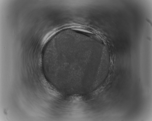 X0000099560247200806131240