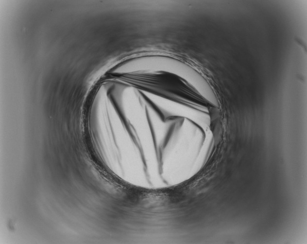 X0000099560248200806131240