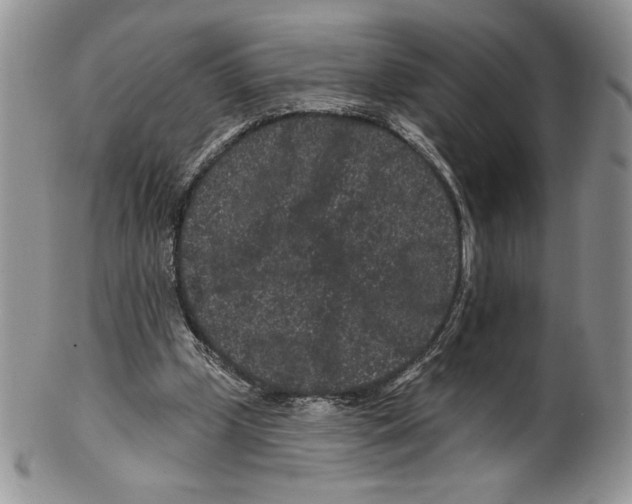 X0000099560249200806131240