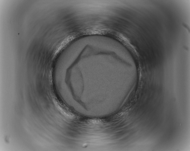 X0000099560250200806131240