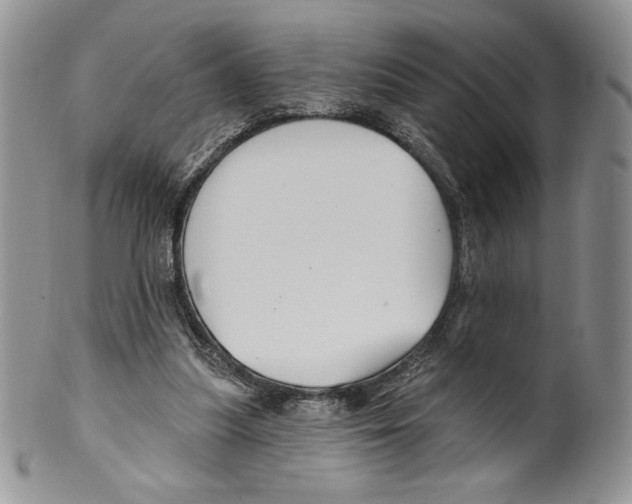 X0000099560251200806131240