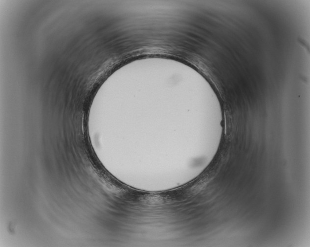 X0000099560253200806131240