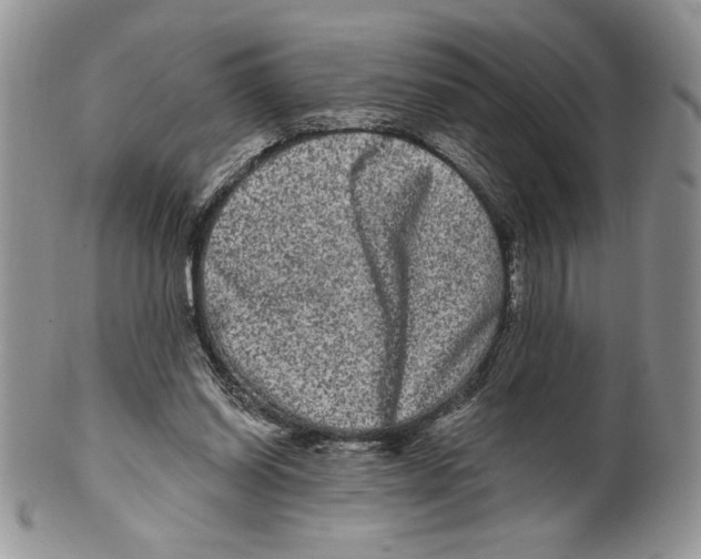 X0000099560254200806131240