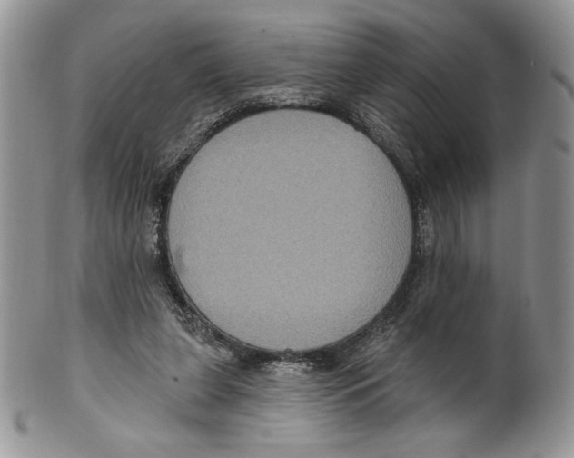 X0000099560255200806131240