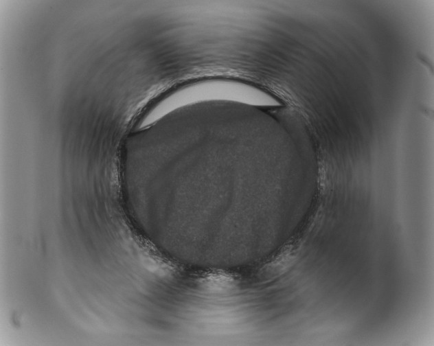 X0000099560256200806131240