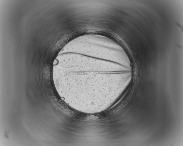 X0000099560257200806131240