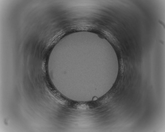 X0000099560258200806131240