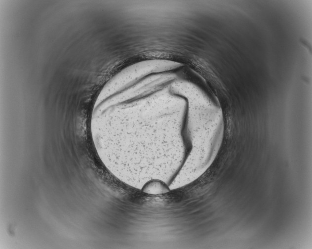 X0000099560259200806131240