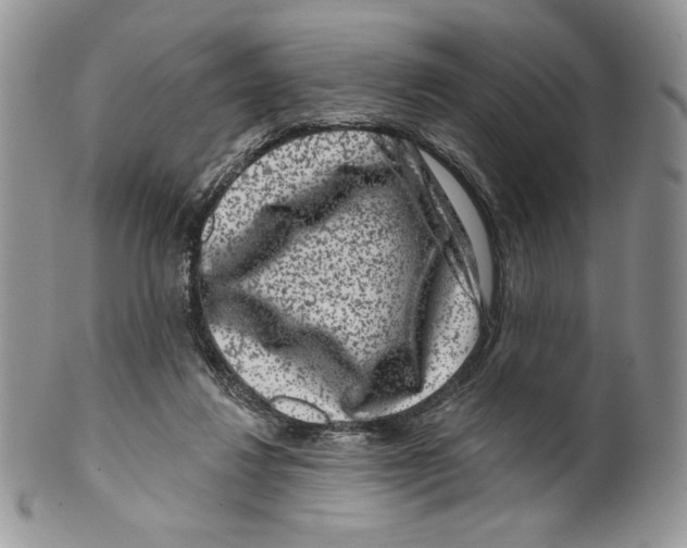 X0000099560260200806131240