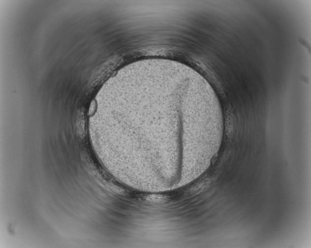 X0000099560261200806131240