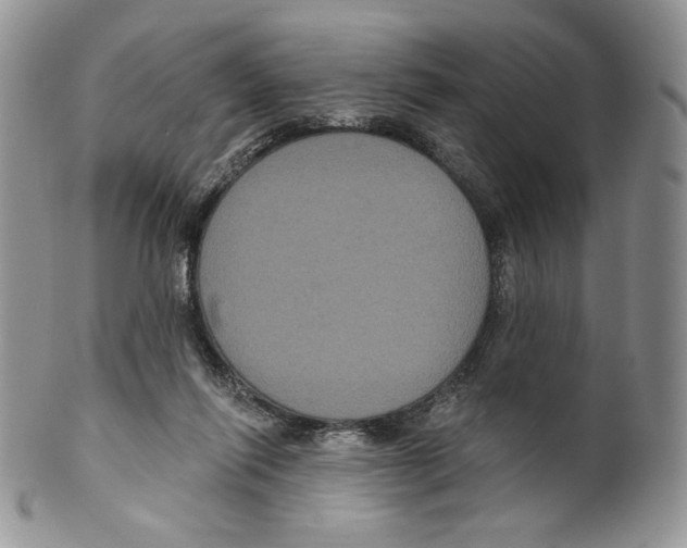 X0000099560262200806131240